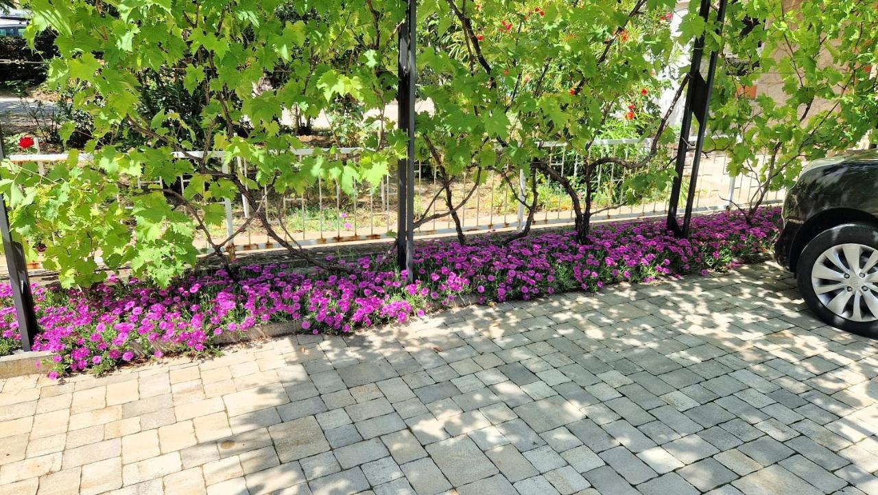 Apartment Pipo Крк Екстер'єр фото